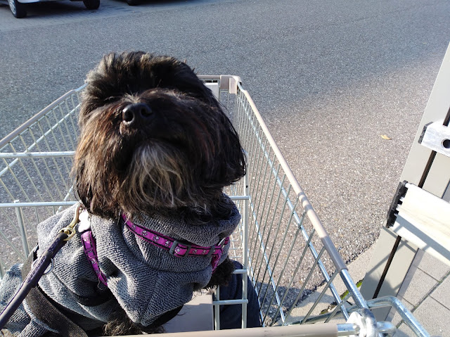 Neuigkeiten aus dem Auenland Aufgeräumt