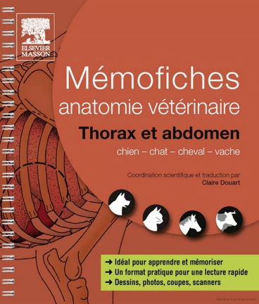 Mémofiches Anatomie Vétérinaire THORAX ET ABDOMEN - WWW.VETBOOKSTORE.COM