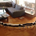 Pessoas que tentaram fazer uma foto panorâmica e acabaram abrindo as portas do inferno