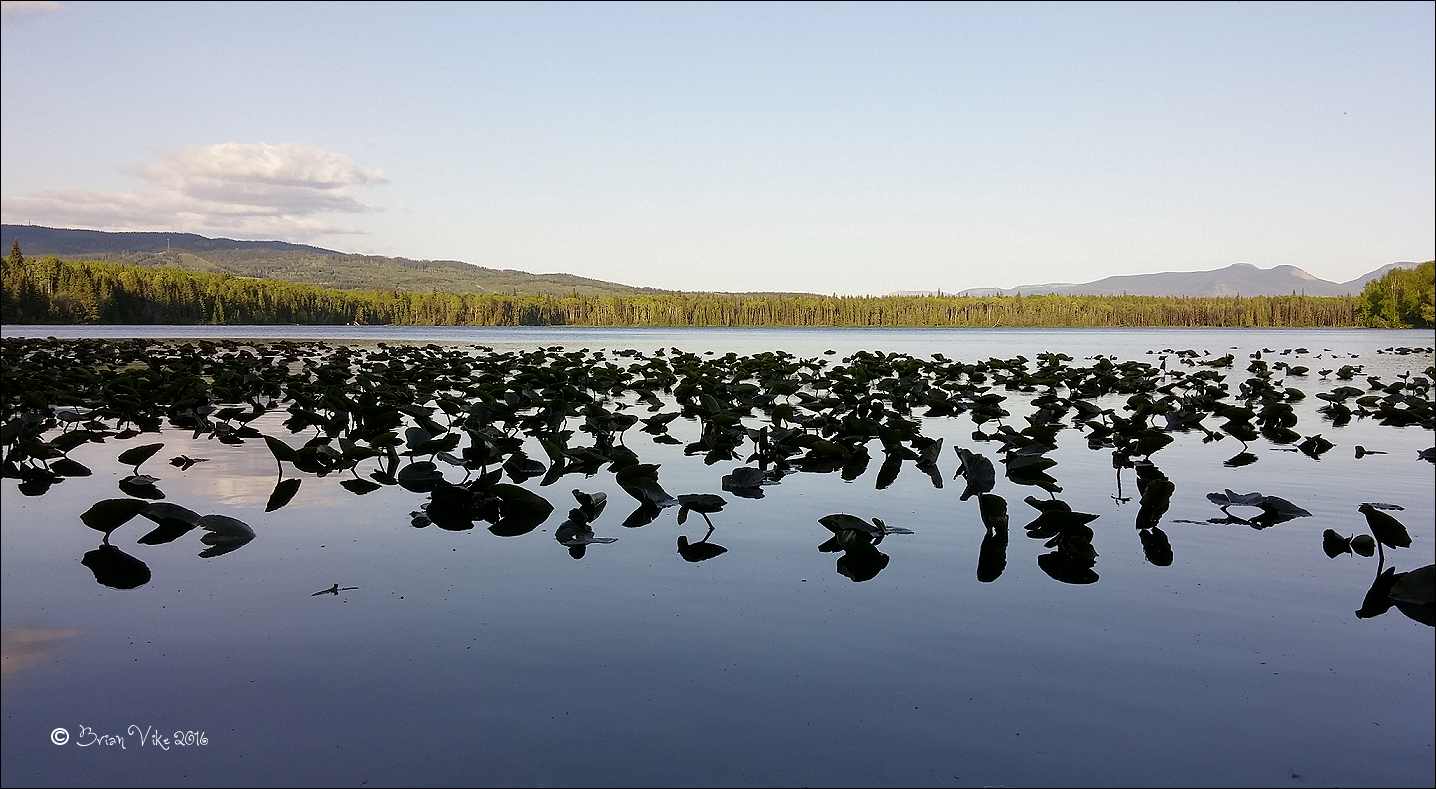 Northern Interior British Columbia A May Evening At Klinger Lake