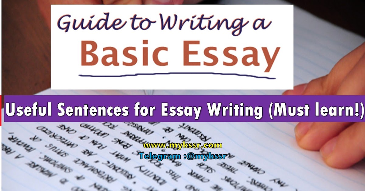 general sentences for essay writing