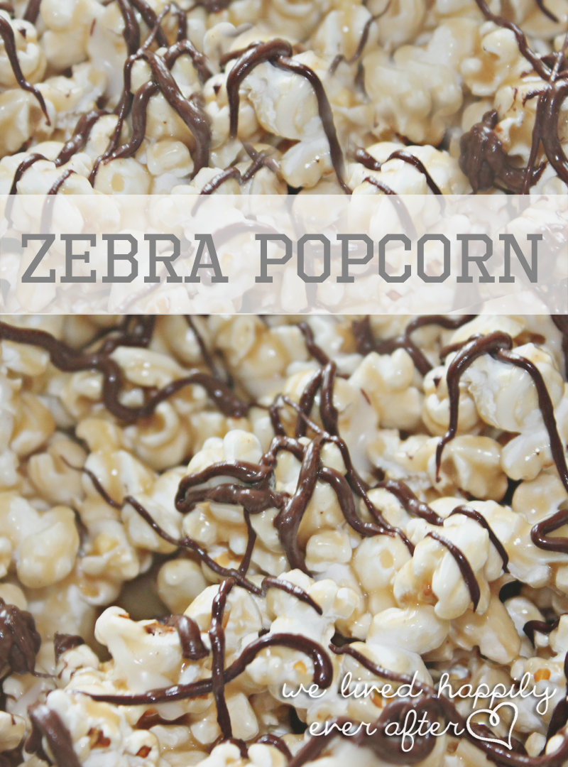 Popcorn Zebra Popcorn