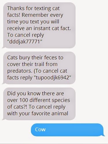 larry s latest cat facts part one