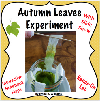 autumn leaf activity for 6th grade