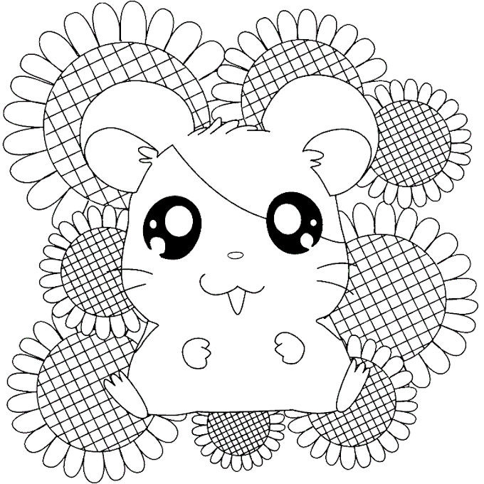 Hamtaro desenhos para colorir pintar imprimir!