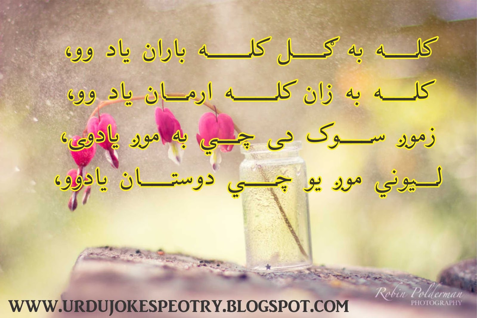 1600 x 1066 - jpeg. pashto poetry love pashto news sms shayari jokes songs ...