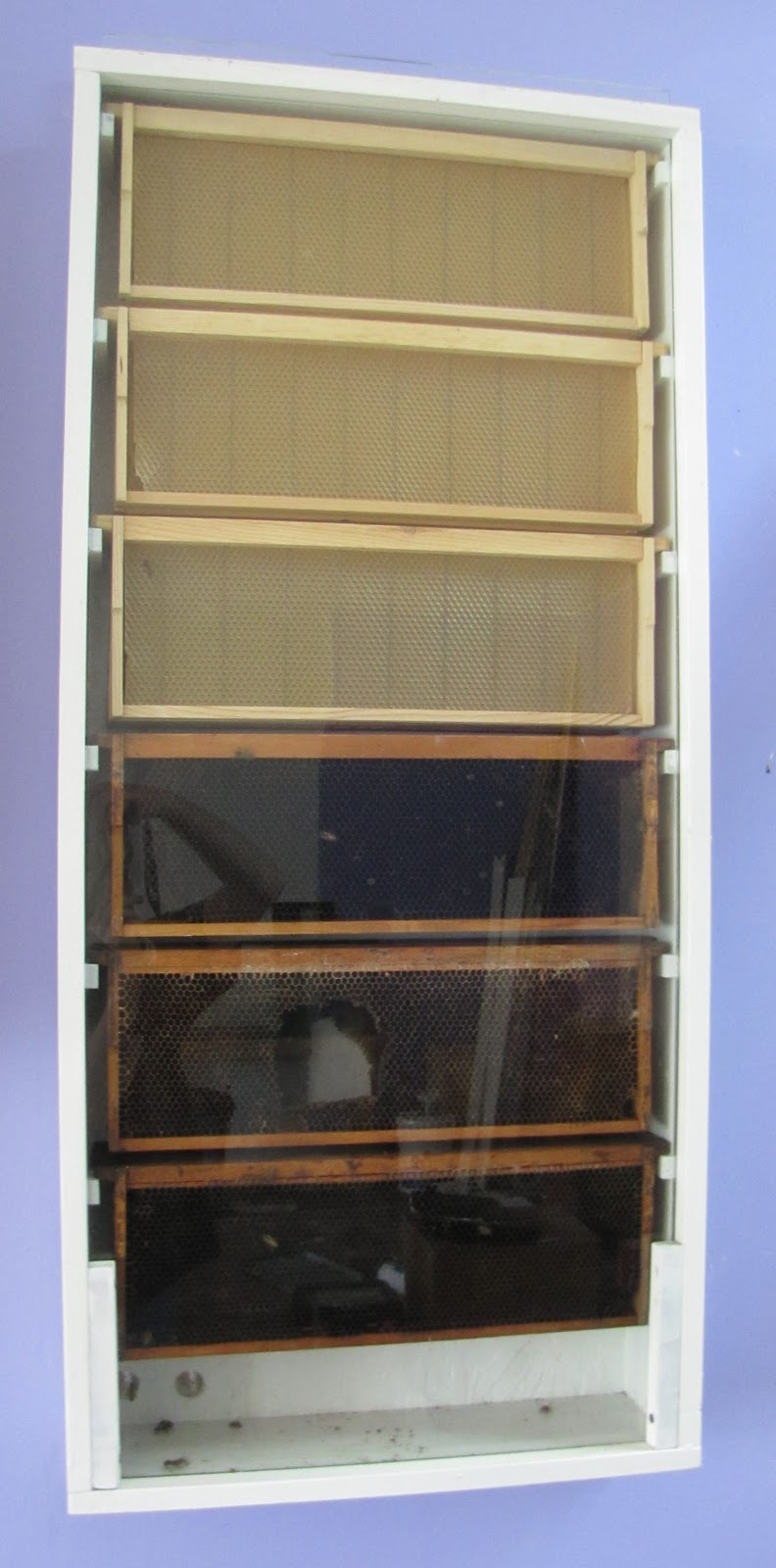 The Family Farm: Indoor Beehive