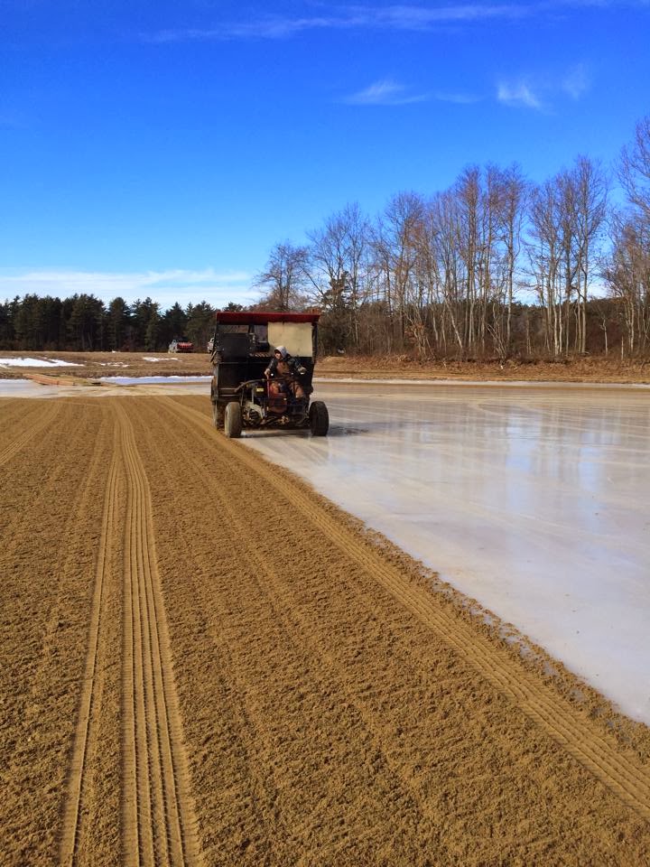 Elaine's Creative Works Winter Ice Sanding on the Cranberry Bogs