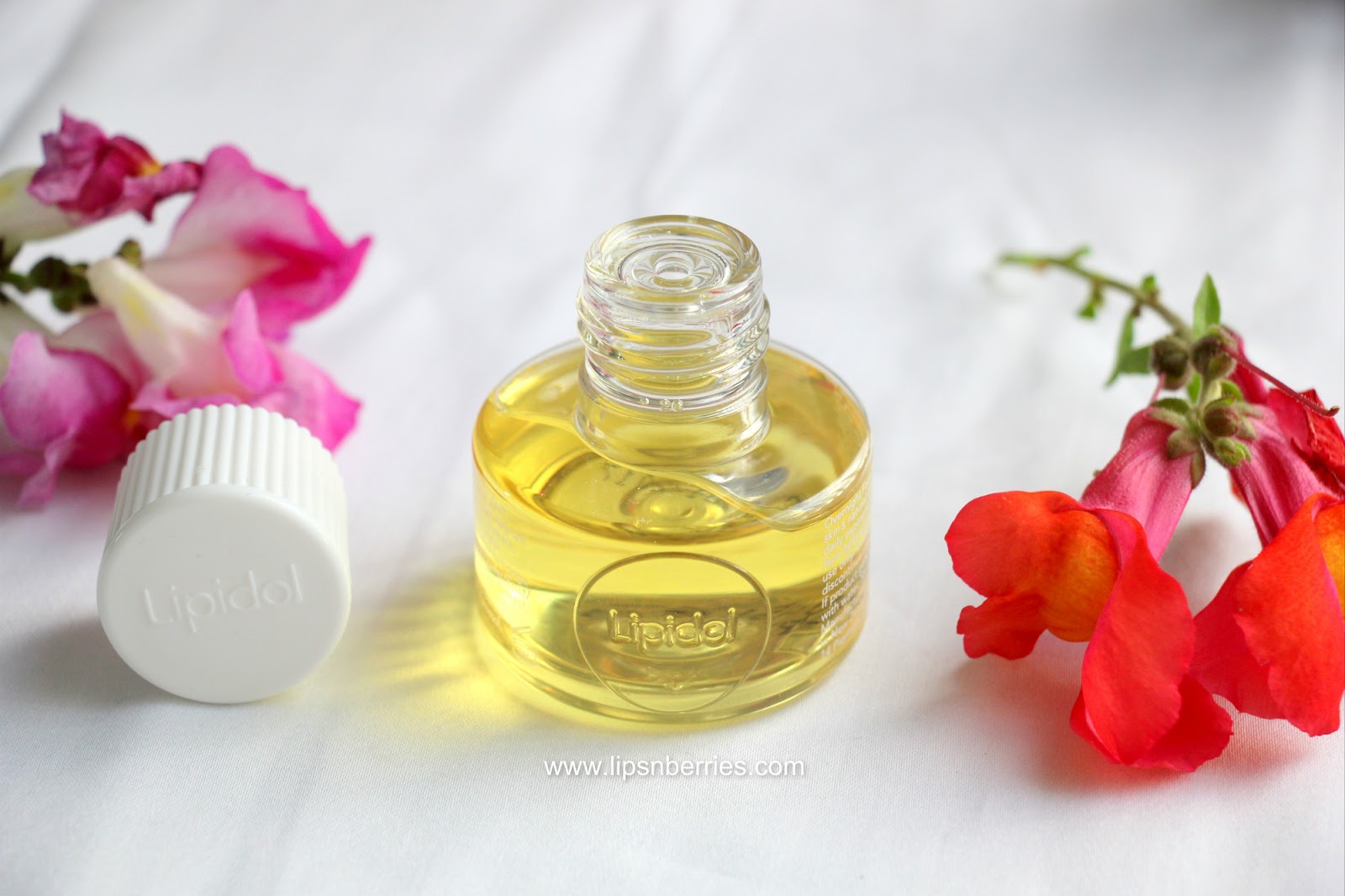 Lipidol Overnight Face Oil Review! LIPS n BERRIES