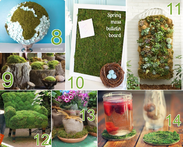 home decor craft ideas using moss
