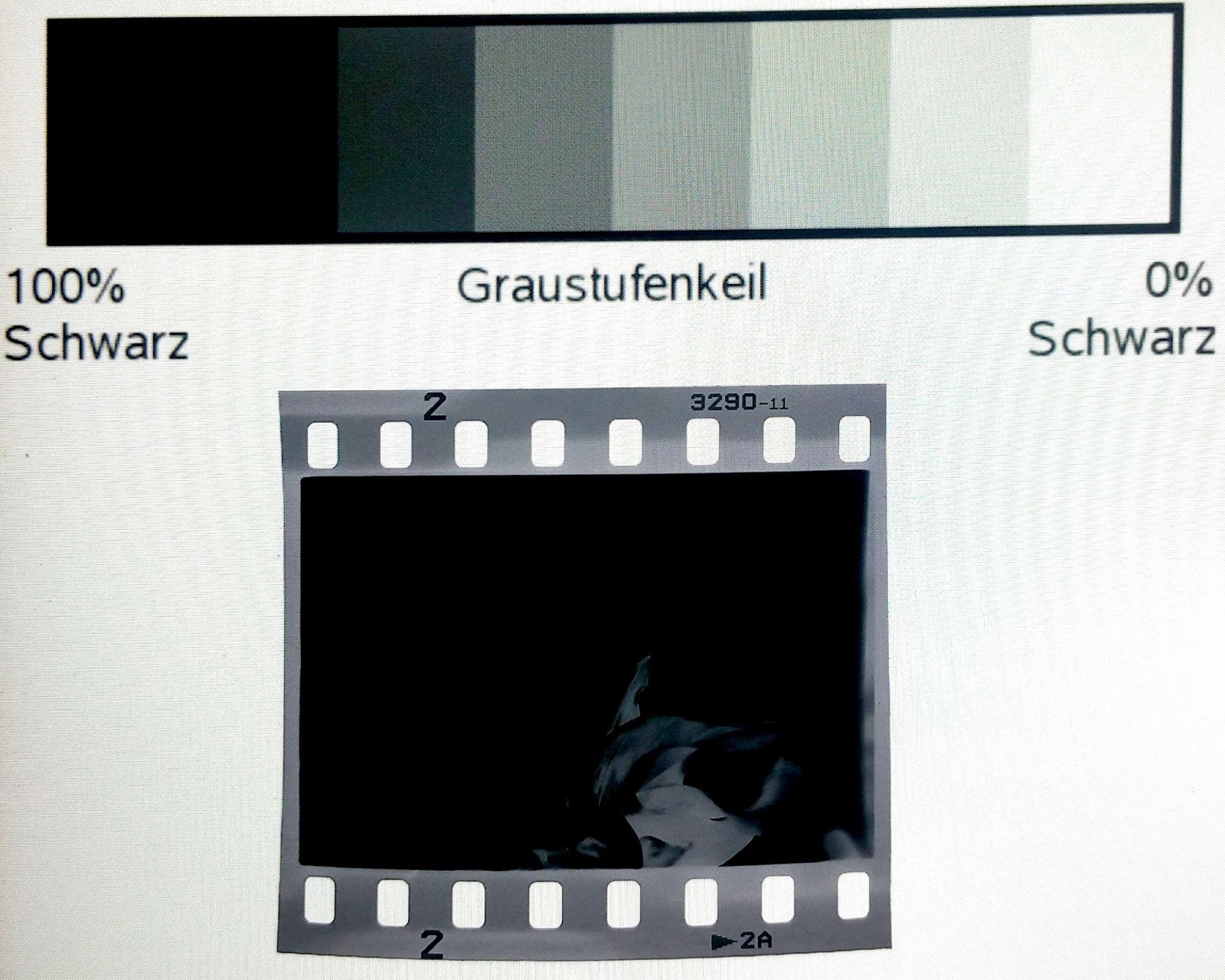 Das Präparat von gribka auf den Nägeln der Hände