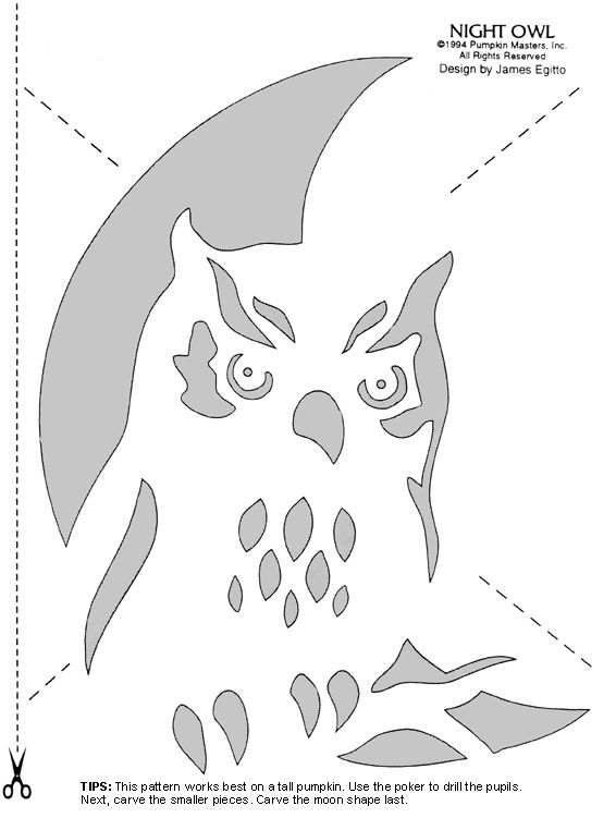 easy-and-cute-owl-pumpkin-carving-templates-ideas-2017-happy