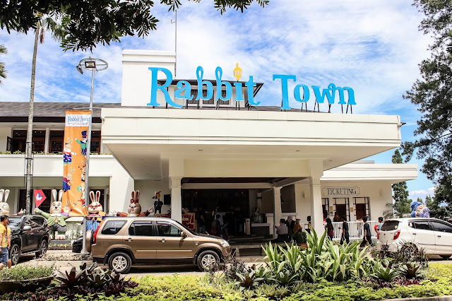 Rabbit town