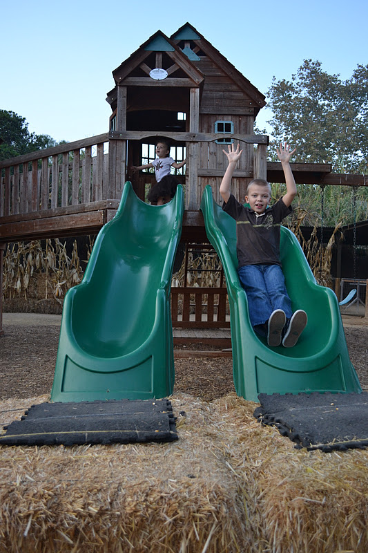 Polkadots on Parade Plum District Zoomars Gobble Wobble Days!