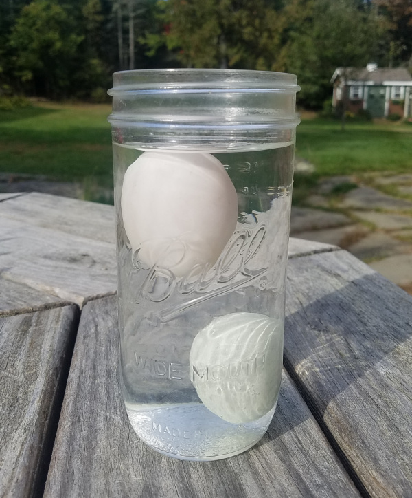 The Egg Float Test for Freshness Fresh Eggs Daily® with Lisa Steele