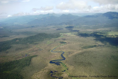 Parte da APA de Guaratupa, no Paraná, está entre as áreas reconhecidas como Sítio Ramsar. Foto: Emerson Oliveira / Fundação Grupo Boticário sitio ramsar, conservação da natureza, fundação grupo boticário de proteção a natureza, são paulo, paraná, mato grosso do sul, novos sítios ramsar, parque nacional ilha grande, meio ambiente, área de proteção ambiental, apa, uso sustentável, natureza, natureza e conservação, fundação boticário, financiamento de projetos, animais, preservação ambiental