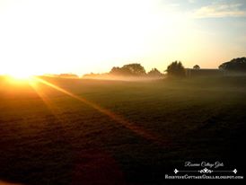 Seek me | sun rising over the pasture with fog on the hills | rosevinecottagegirls.com