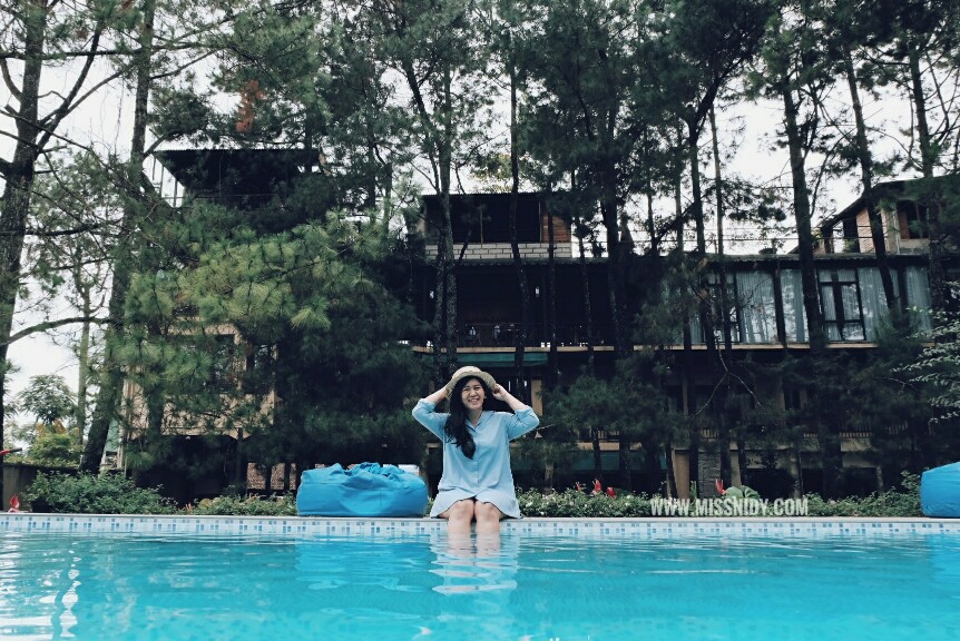 hotel dengan pemandangan hutan pinus di lembang bandung hotel dengan pemandangan hutan pinus di lembang bandung