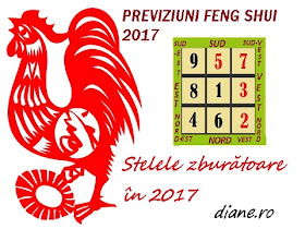 Previziuni Feng Shui 2017 | Stelele zburătoare în 2017 