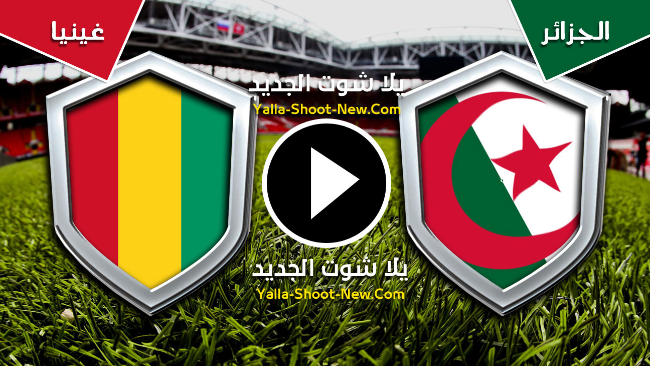 مباراة الجزائر وغينيا