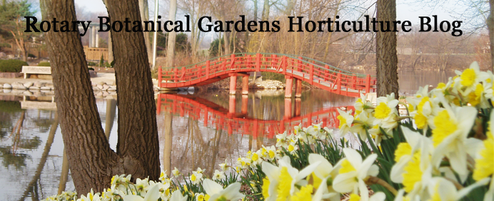 Rotary Botanical Gardens - Hort Blog