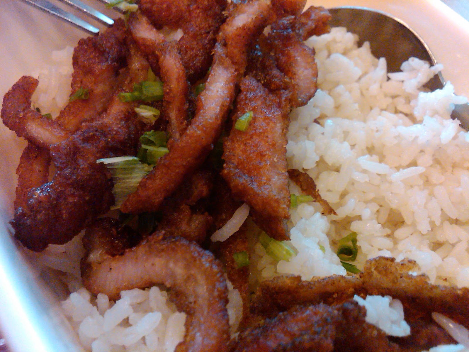 Taste Bud Speaks Pork Belly Rice Topping by Yummy Roast