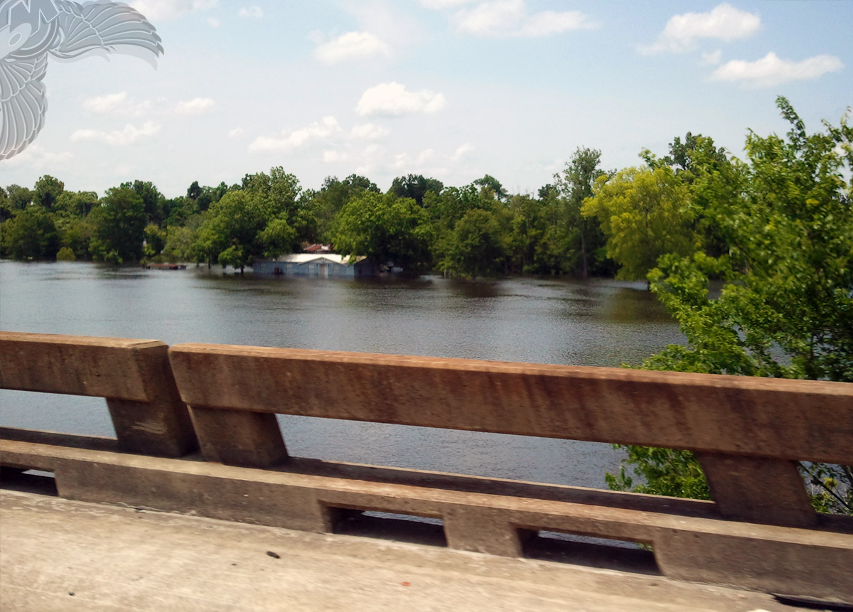 atchafalaya basin flood house