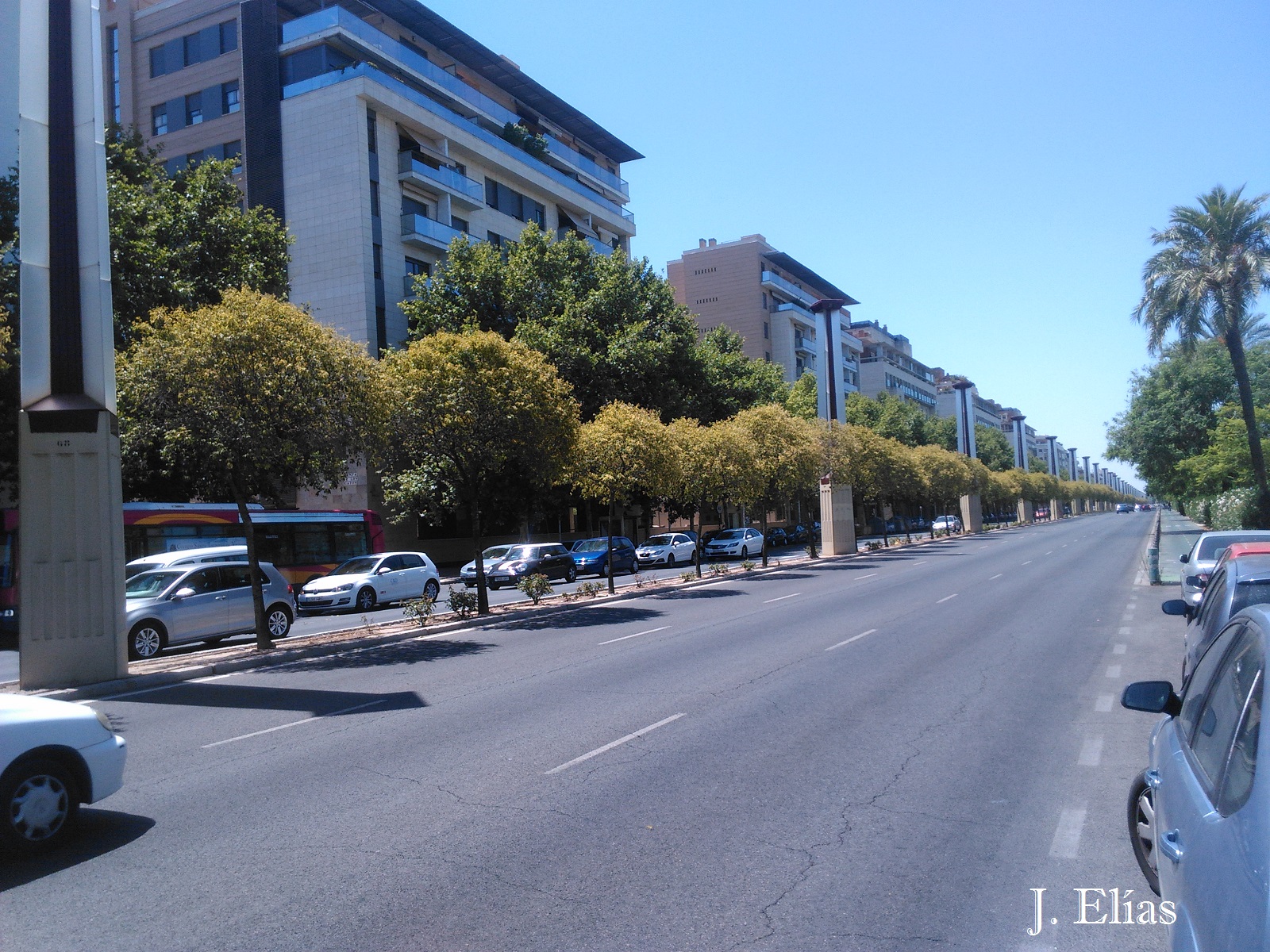 Plataforma Ciudadana Parques y Jardines Sevilla Los rosales de la Plataforma Ciudadana Parques y Jardines Sevilla Los rosales de la
