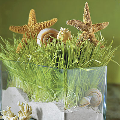 starfish-and-seashell-decorating-ideas