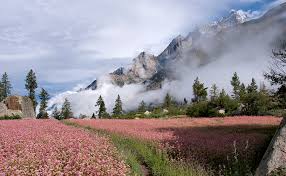 Place to Interest in Kinnaur ,Himachal Pardesh. Beautiful Place Chhitkul.