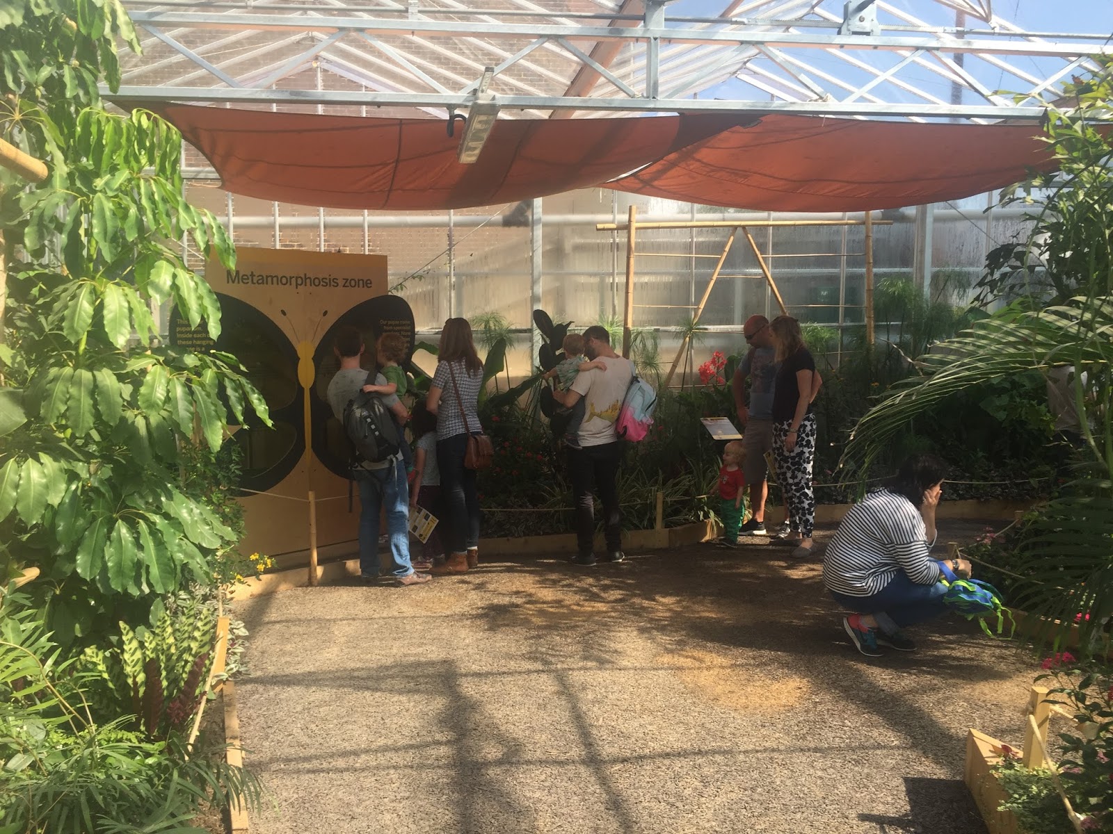The Horniman Museum Butterfly House The Ark In Space