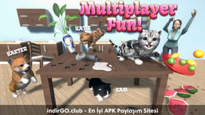 Cat Simulator Apk full Cat Simulator Apk full