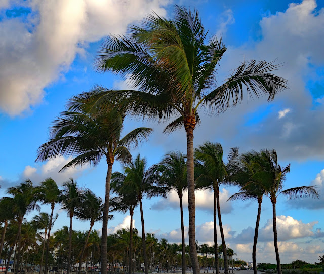 Joe's Retirement Blog: After Sunrise, Miami Beach, Florida, USA