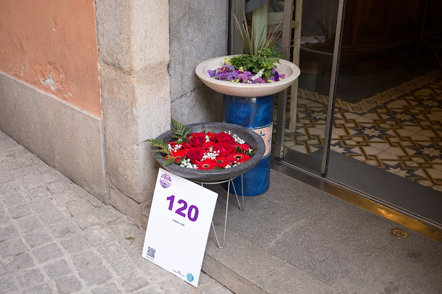 Праздник цветов в Жироне 2015 (Temps de Flors Girona 2015)