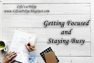focusing efforts  life's a polyp