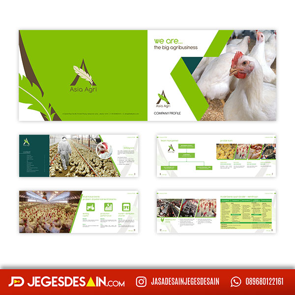 desain company profile asia agri jasa desain company profile yang menarik dan menjual dengan harga murah dan terjangkau