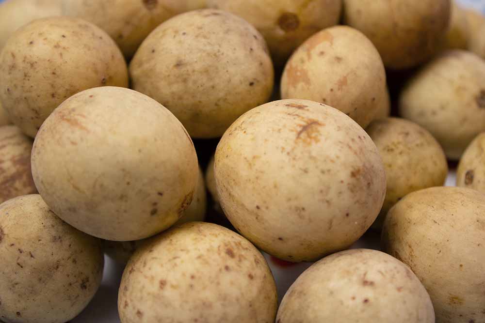 Manfaat Buah Langsat atau Duku Manfaat Buah Langsat atau Duku
