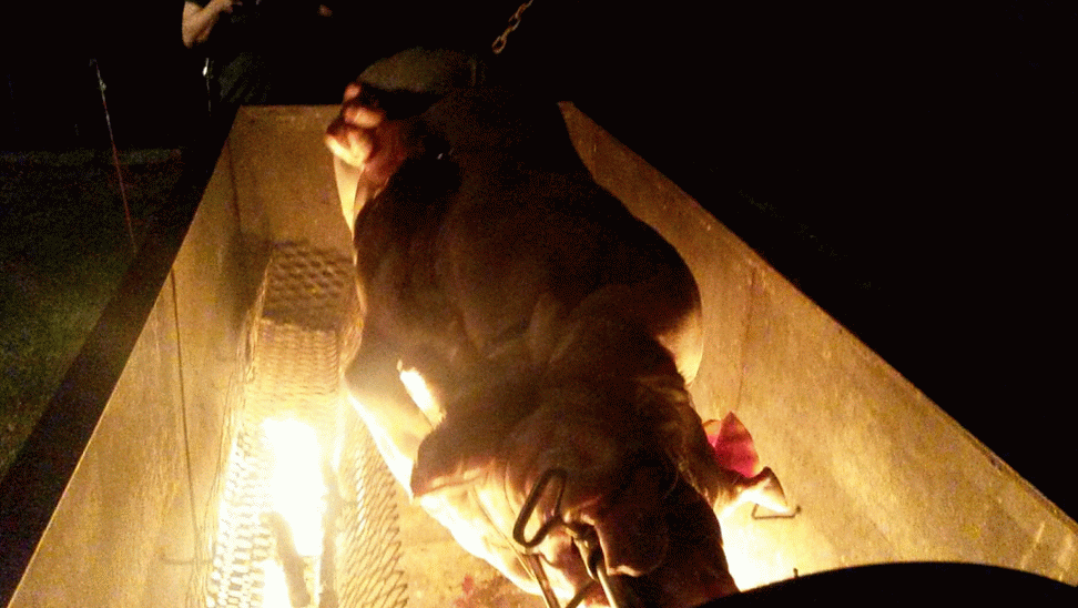 8th Annual PeakenStine Pig Roast!