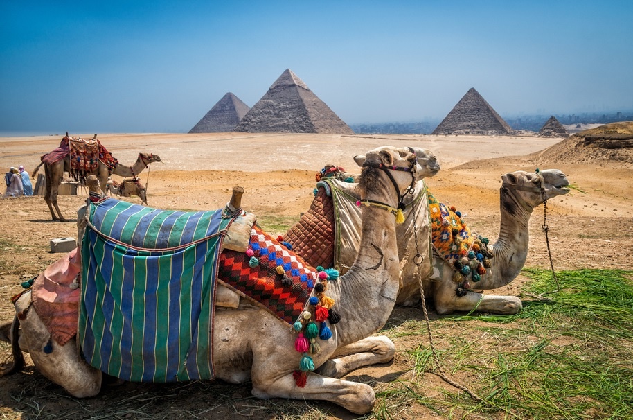 Ibis Egypt Tours Egyptian Vacation Packages