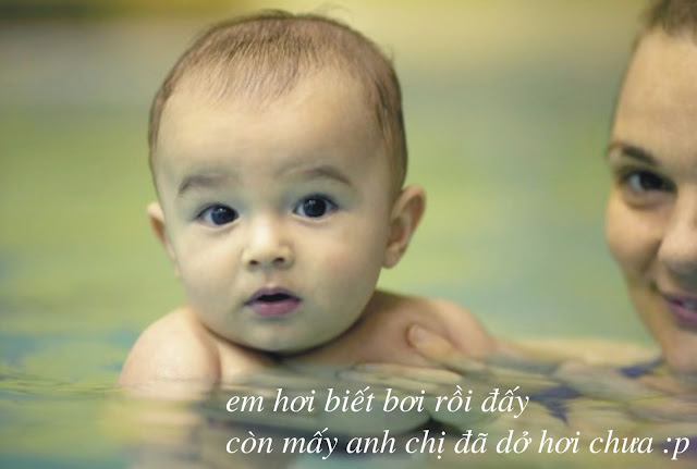 Tập bơi đi nhóe, đừng ngượng mà chết đuối đó