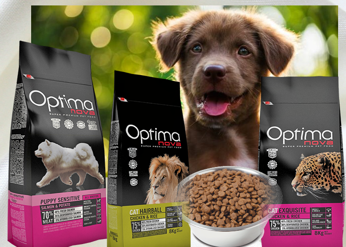 Zampalesta Negozio Pet Food Ad Orsenigo Aprile 2018
