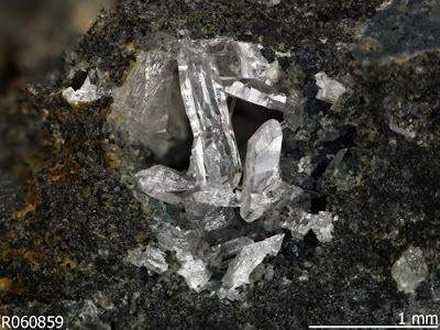 mineral antropoceno