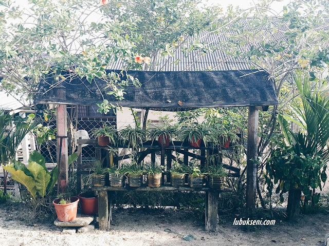 Indahnya lanskap Mama, lubuk mencari ilham terapi minda. Indahnya lanskap Mama, lubuk mencari ilham terapi minda.
