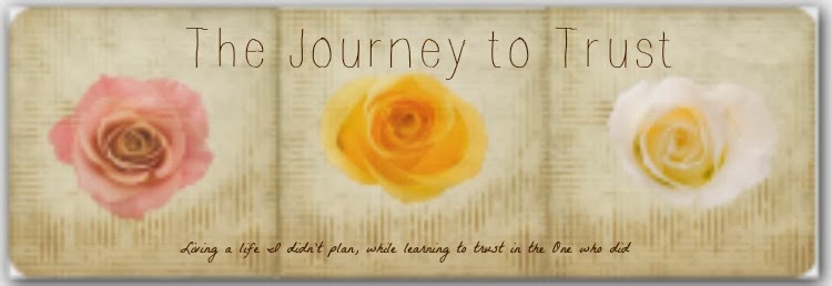 The Journey to Trust