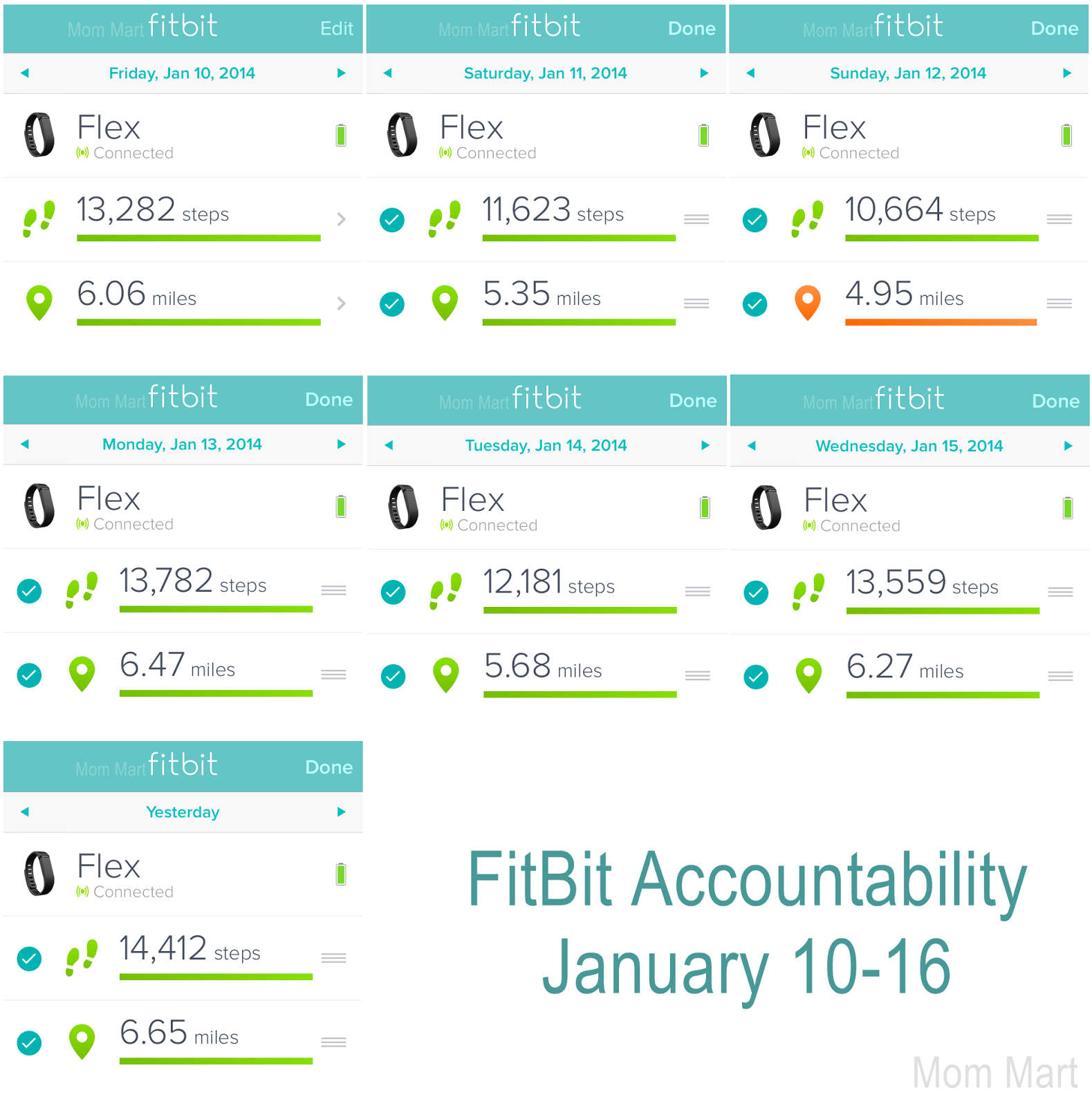 FitBit Flex Accountability Weekly Weight Loss Tracking