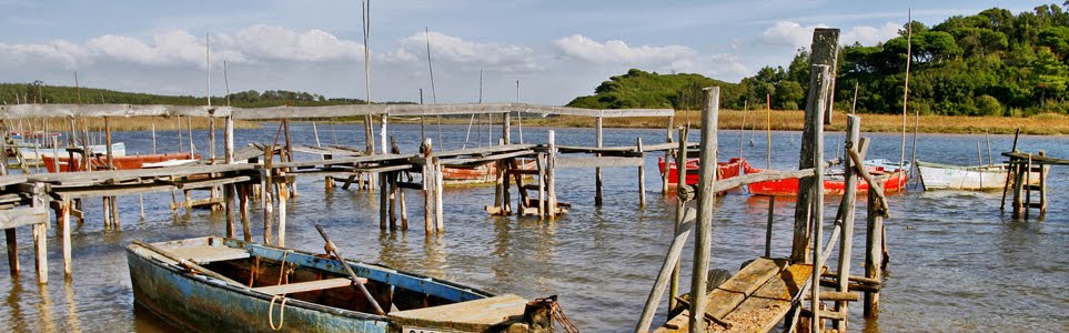 Obidos lagoon: a fragile ecosystem
