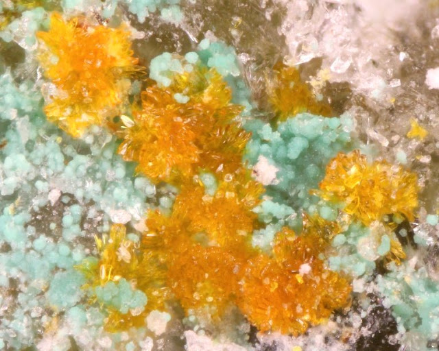 Scientists Discovered Three New Uranium Minerals in Utah