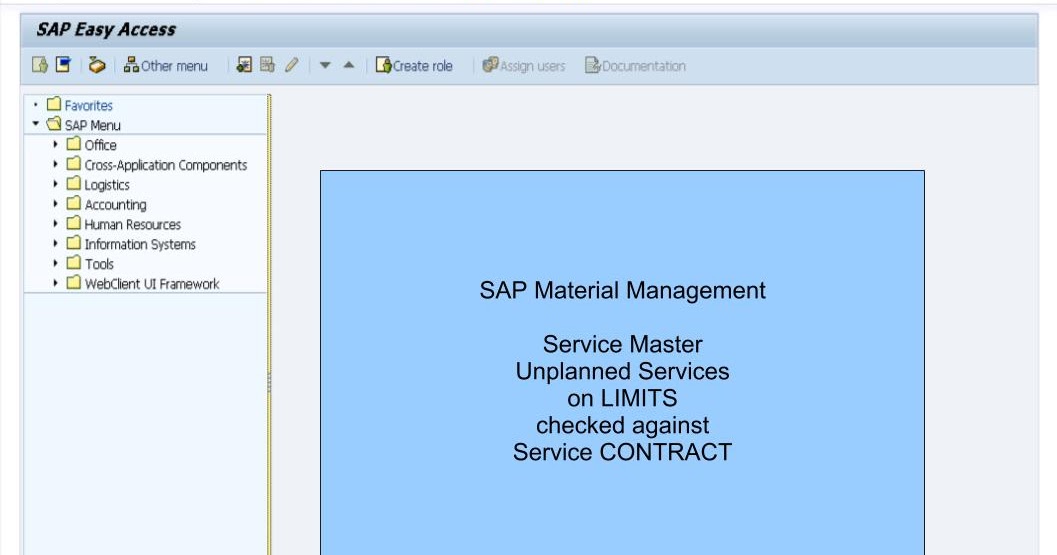 青蛙SAP分享 Froggy's SAP sharing Material Management Service Master