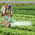 Entidades do agronegócio se movimentam contra proibição de defensivo agrícola