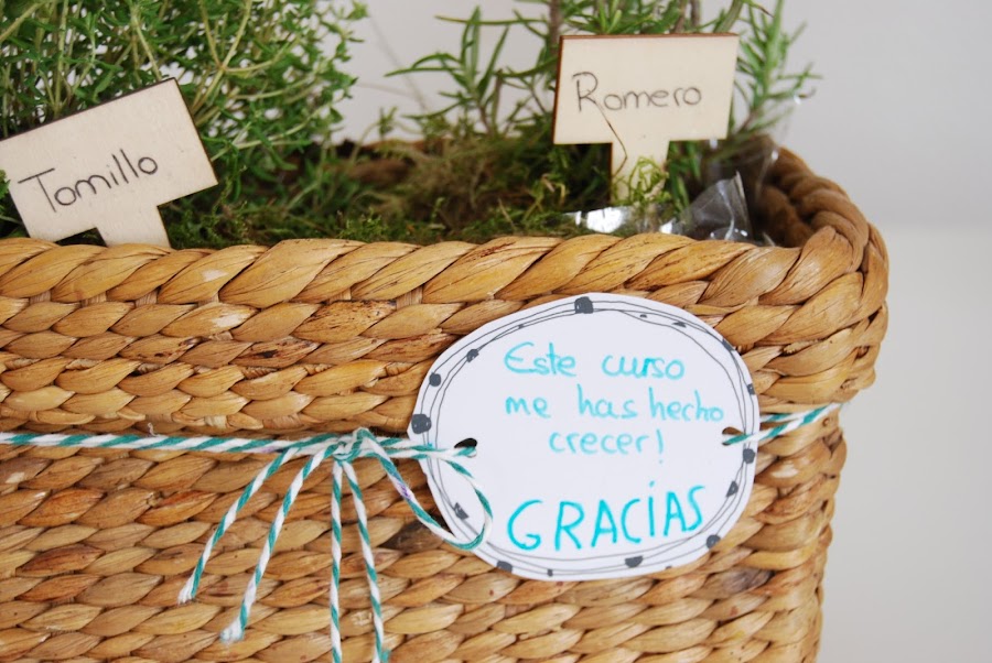 Pequeño huerto de aromáticas para hacer con niños y regalar